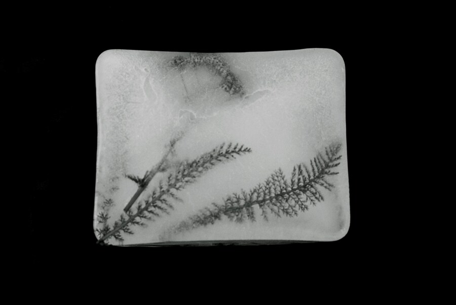 THE SEATED QUEEN(27)