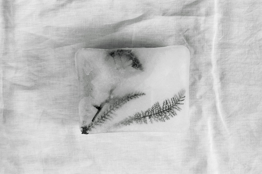 THE SEATED QUEEN(11)