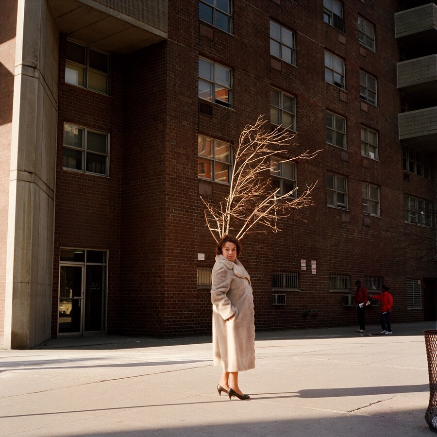Janet Delaney
