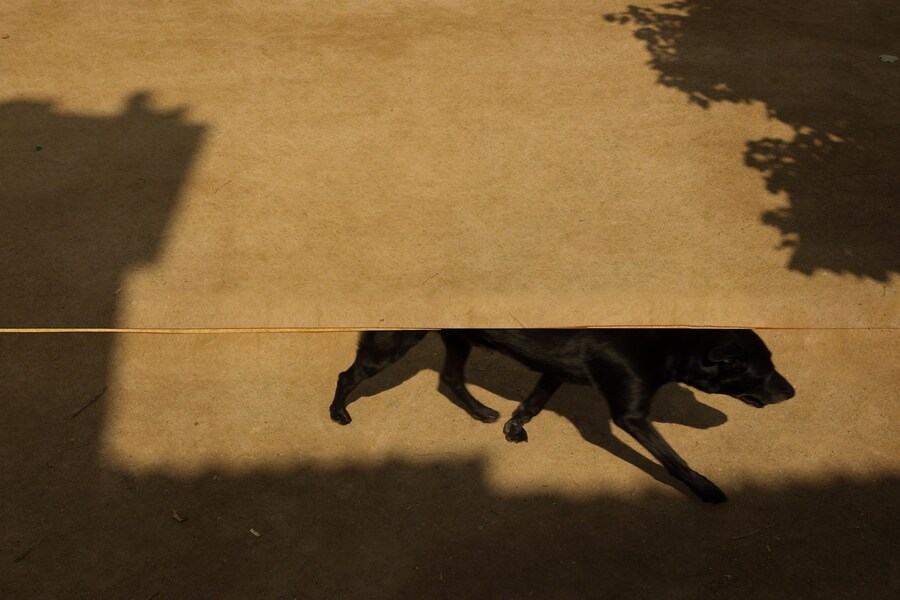 As Far As The Eye Can See