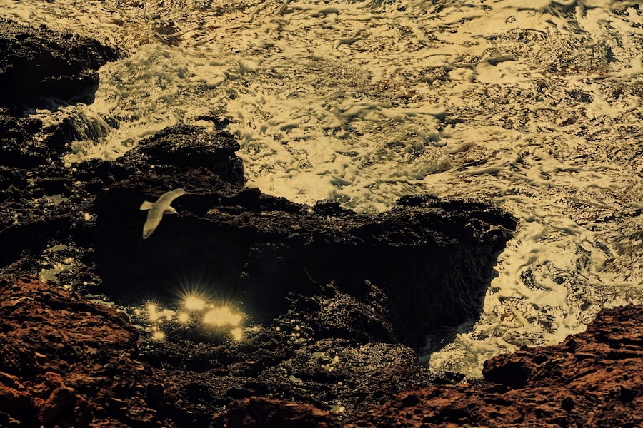 As Far As The Eye Can See