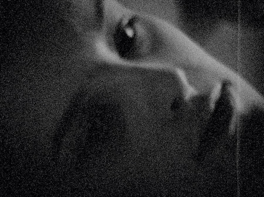 First Trip to Bologna Last Trip to Venice by Seiichi Furuya