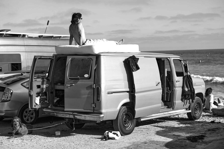 Into The Wild by Matthew Brookes