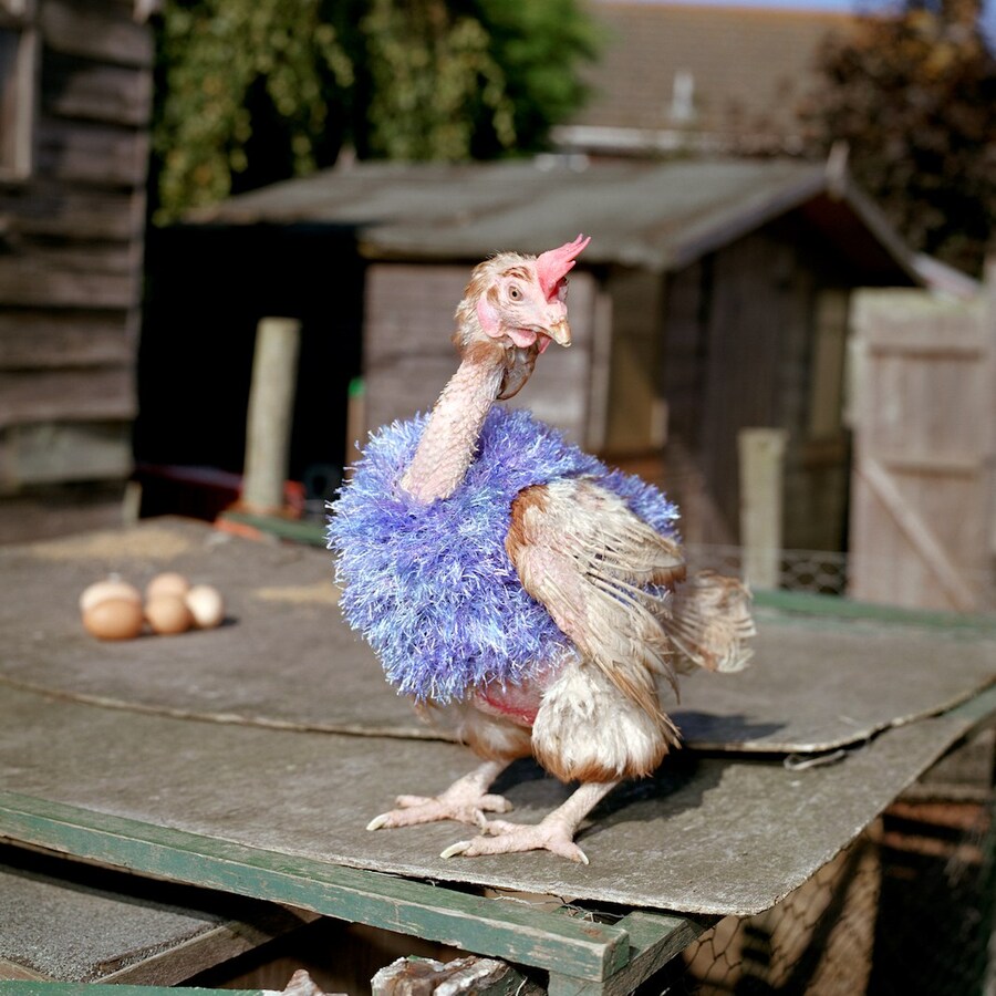 In-A-Gadda-Da-England by Edward Thompson