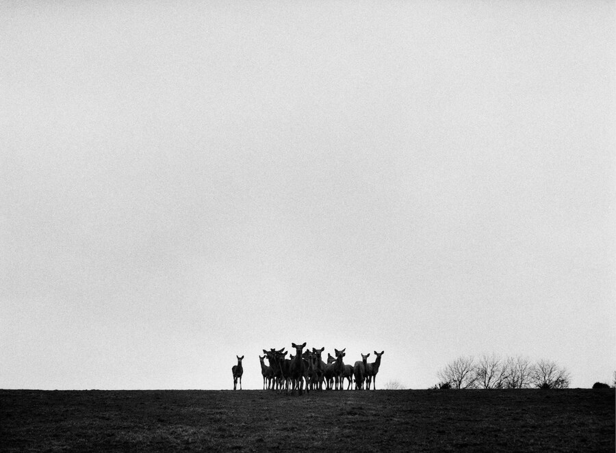 SS Daley Spring/Summer 2022 Campaign