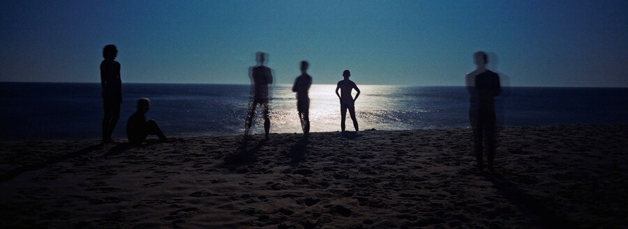 To Die Alive by Matthew Leifheit, Damiani