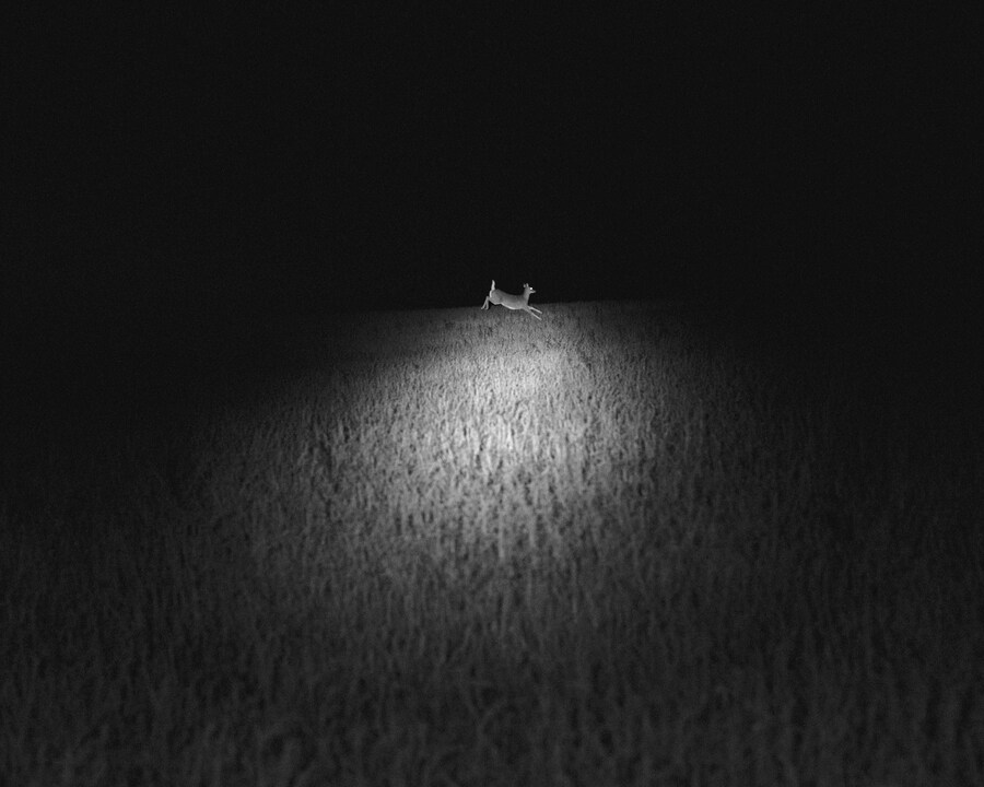 ErinnSpringer_wisconsin-bw-11