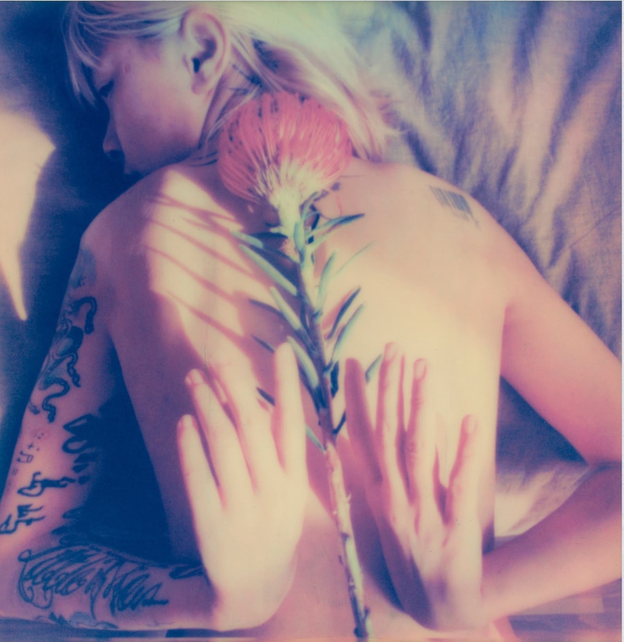 Colours of Love by Lin Zhipeng / 223