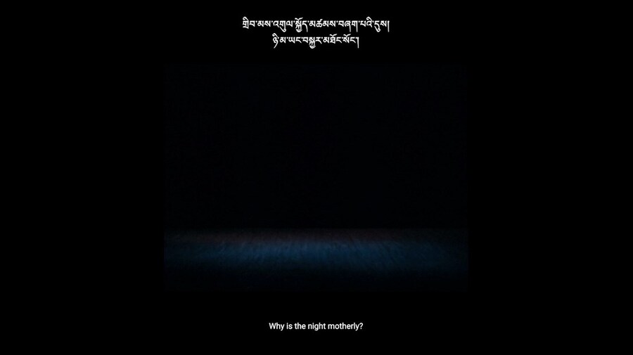 ས་གཞི་སྔོན་པོ་འགྱུར། (The Earth Turned Green) by Shen Xin