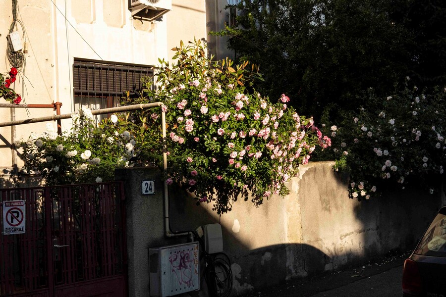 In Transition: Queer in Bucharest by Alin Kovacs