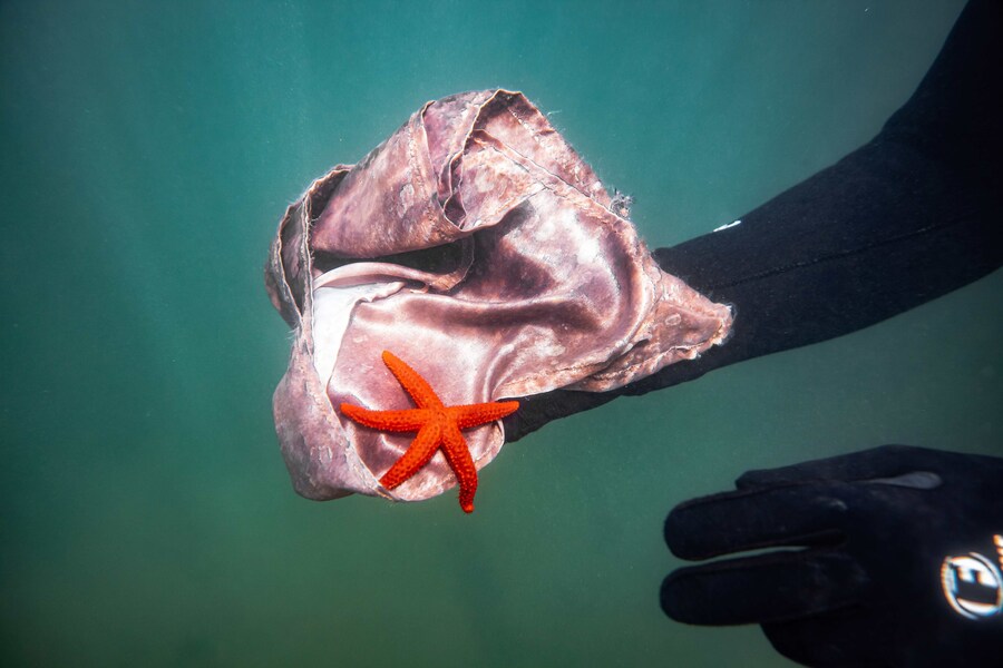 State of the Oceans Parley for the Oceans