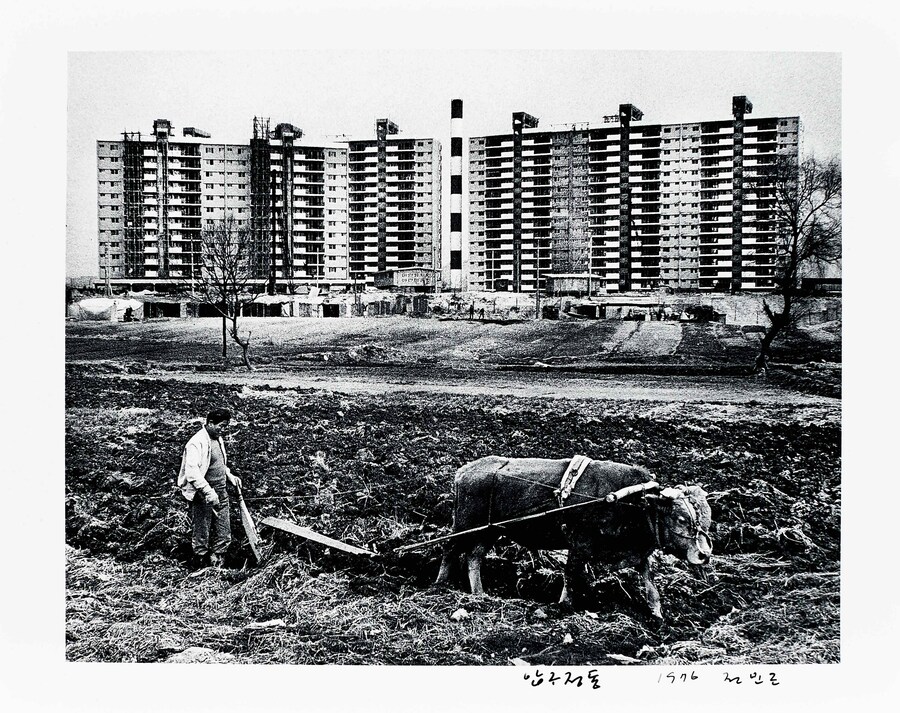 Gangnam view of Hyundai apartment blocks. Photo Ju