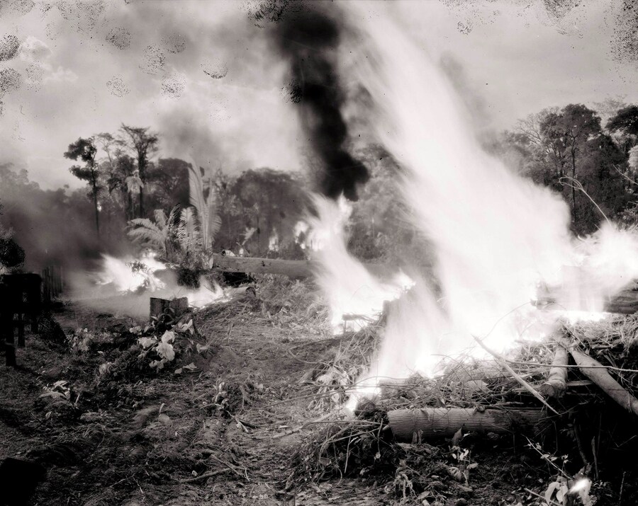 Broken Spectre by Richard Mosse