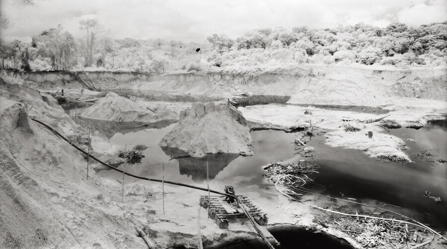 Broken Spectre by Richard Mosse