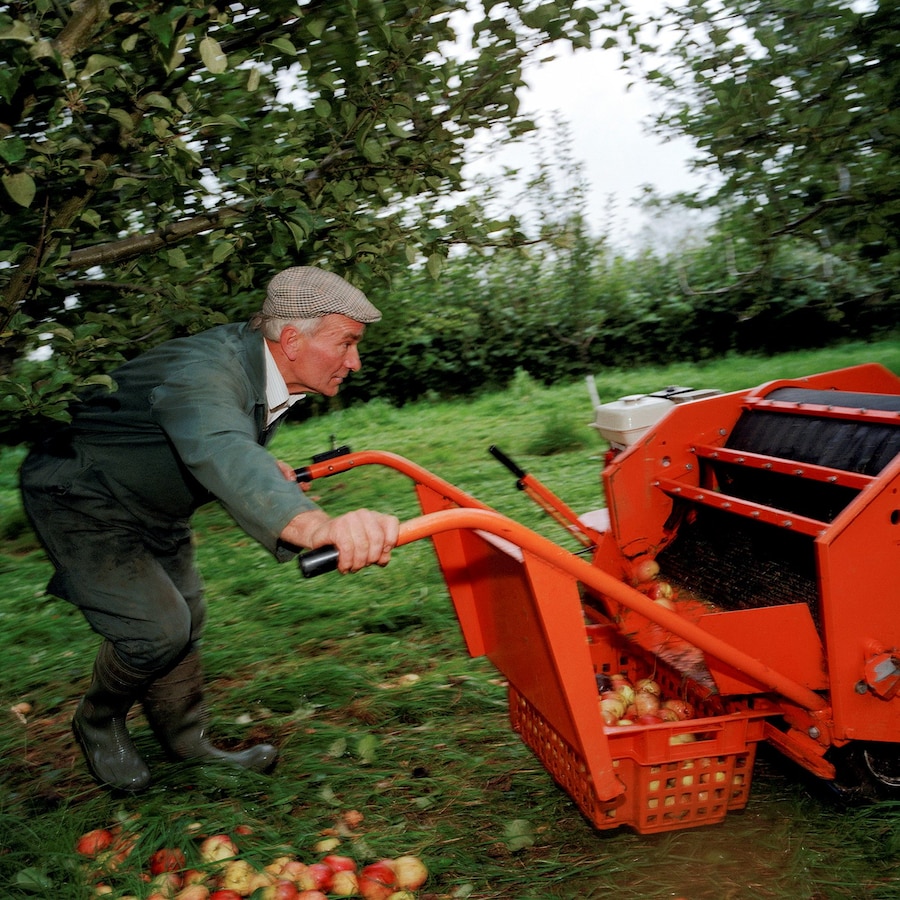 low Picking up apples_Chew Stoke_Martin Parr