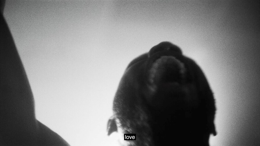 INFINITE by Mich&#232;le Lamy and Matt Lambert