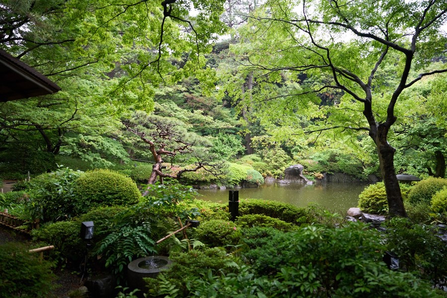 Japanese Garden_PradaModeTokyo_3