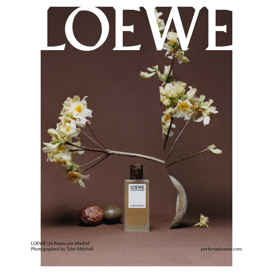 Greta Lee for Loewe tyler mitchell
