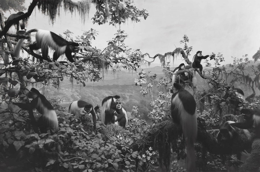 Dioramas by Hiroshi Sugimoto