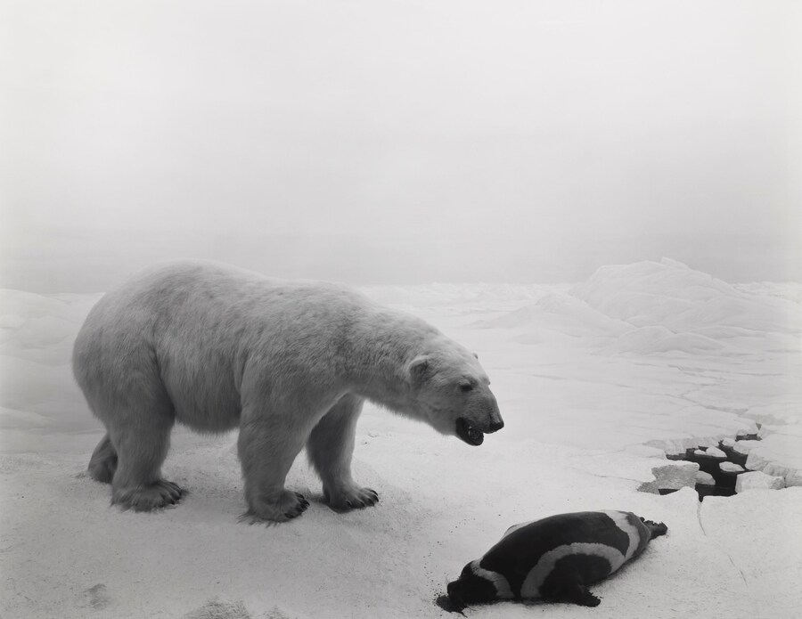 Dioramas by Hiroshi Sugimoto