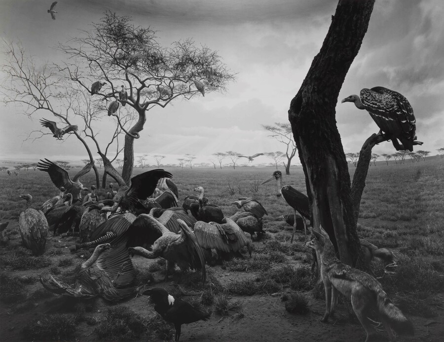 Dioramas by Hiroshi Sugimoto