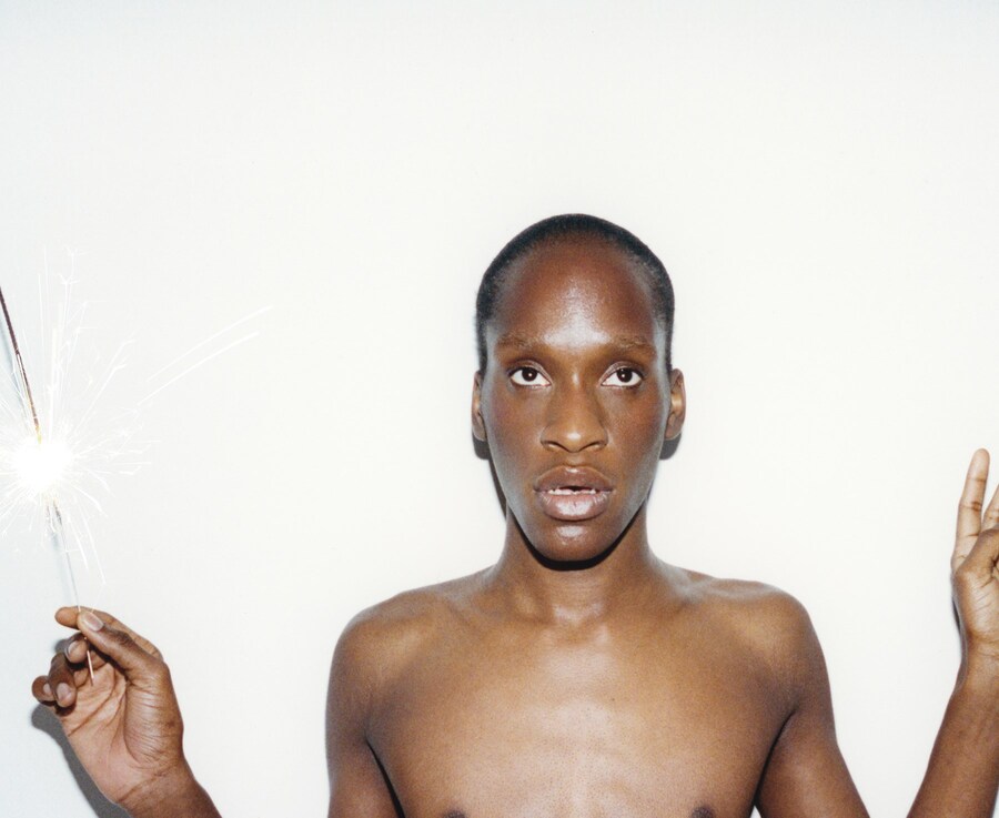 Cat Tree by Nicola and Manuel