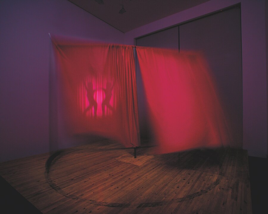 Mike Kelley, Extracurricular Activity Projective 