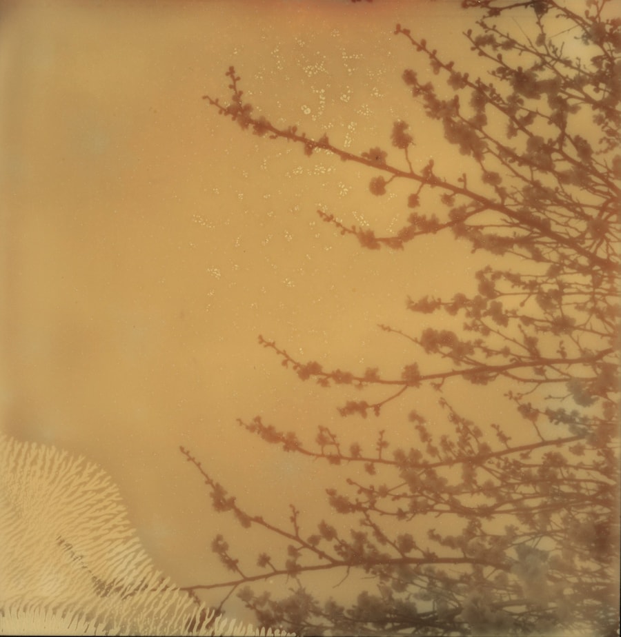 Room 416 by Sakiko Nomura