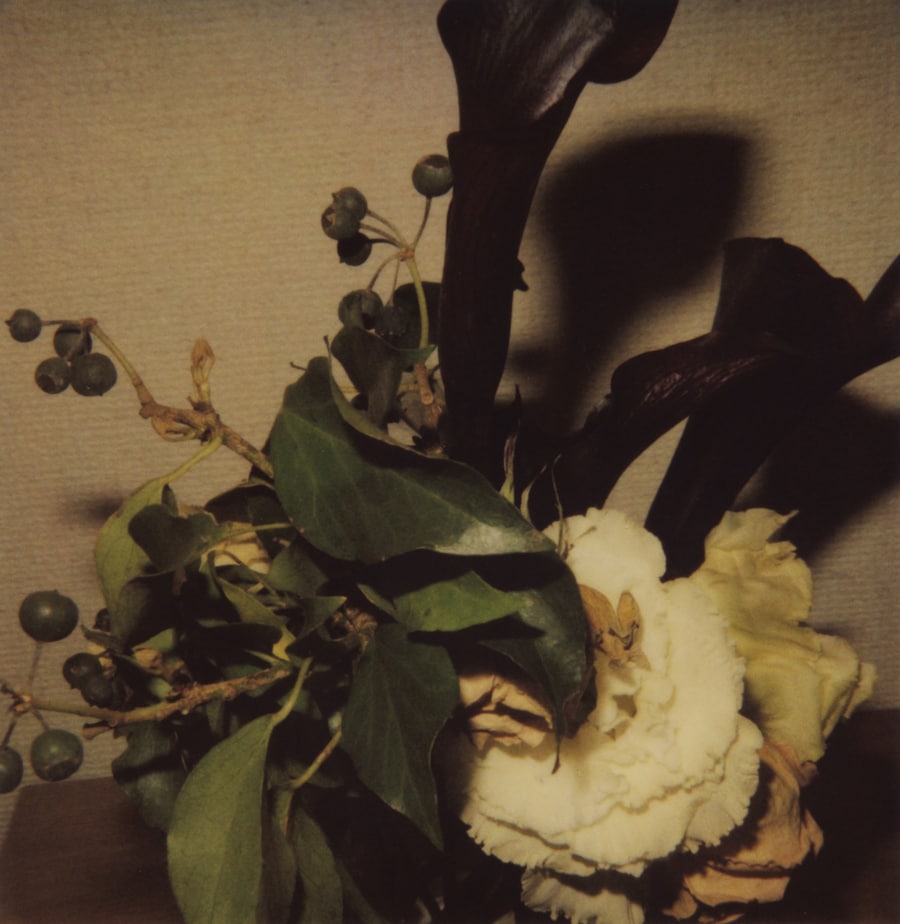 Room 416 by Sakiko Nomura