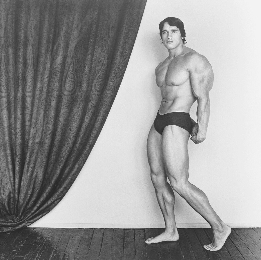 Robert Mapplethorpe: Subject Object Image