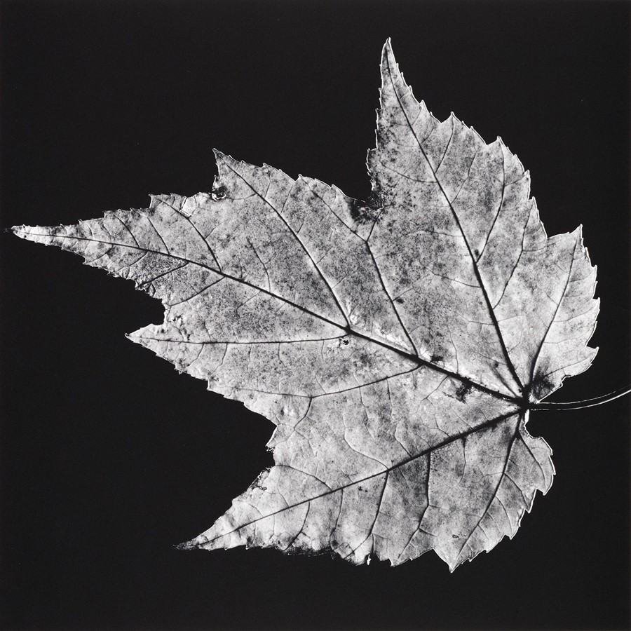 Robert Mapplethorpe: Subject Object Image | AnOther