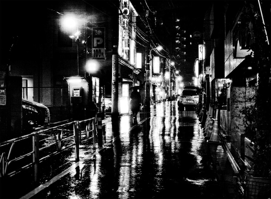 Stray Cats by Daido Moriyama