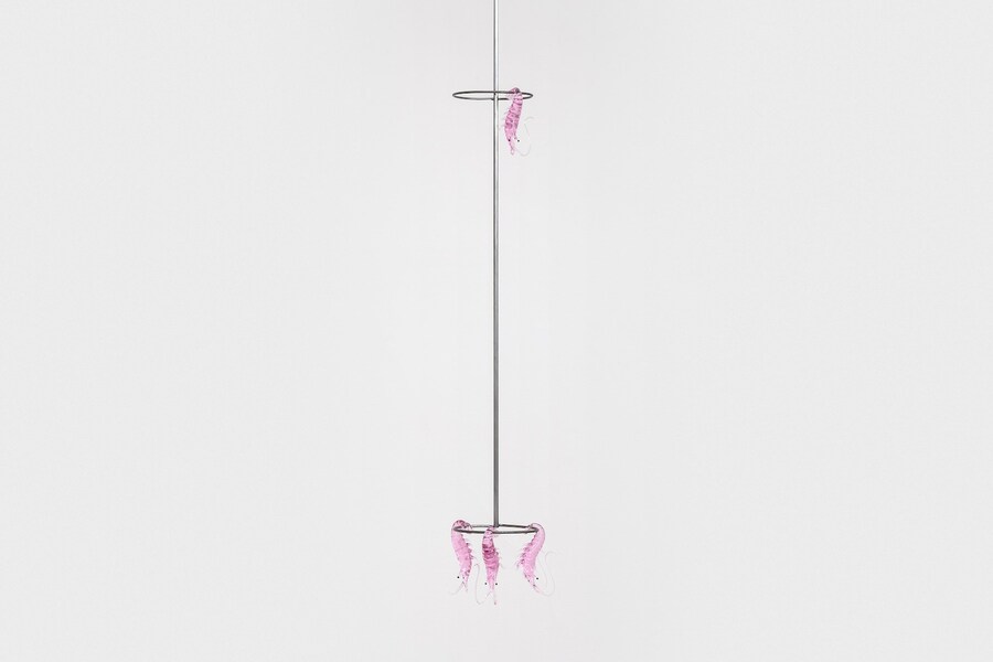Steph Huang for Art Basel Hong Kong 2024