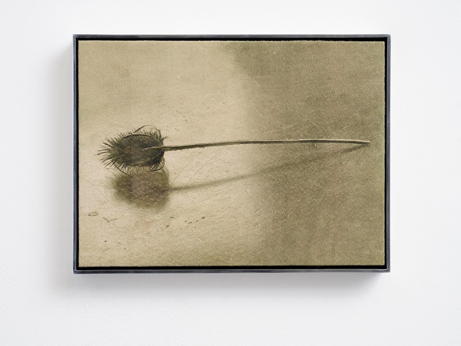 Solid Objects by Poppy Jones