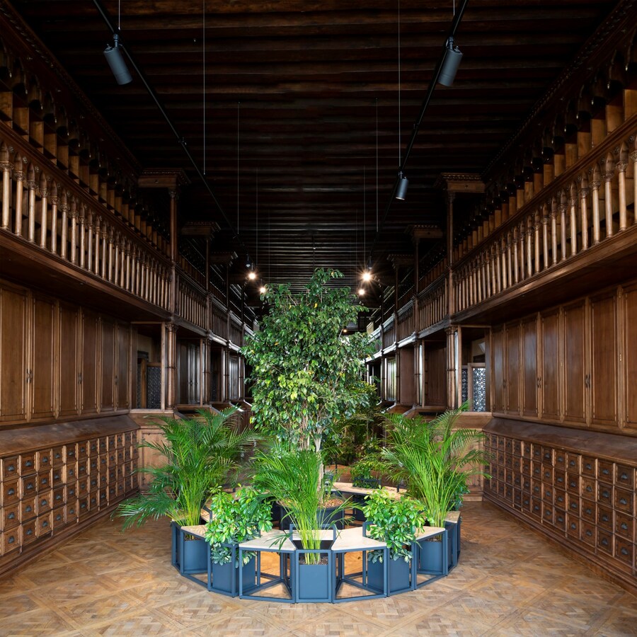 Greenhouse at the Venice Biennale 2024 Portugal Pavilion 