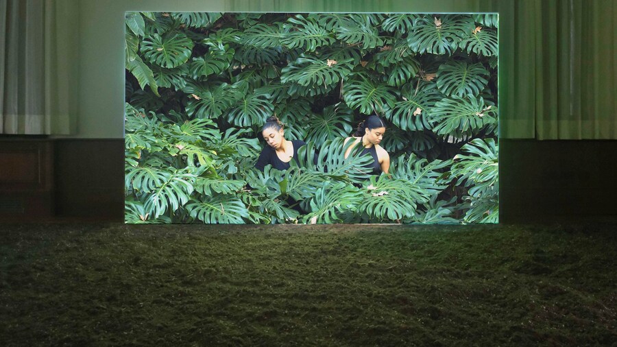 Greenhouse at the Venice Biennale 2024 Portugal Pavilion 