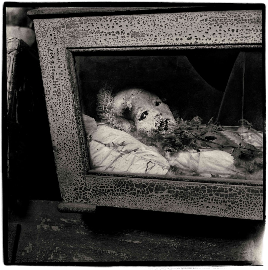 Portraits In Life And Death by Peter Hujar