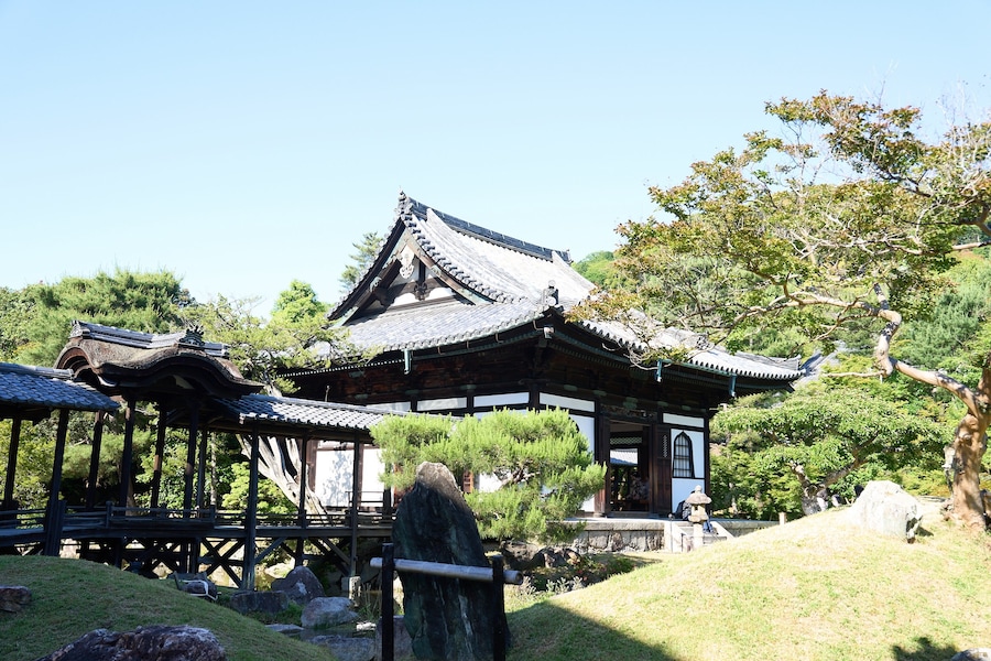 Cos x Tabata Shibori