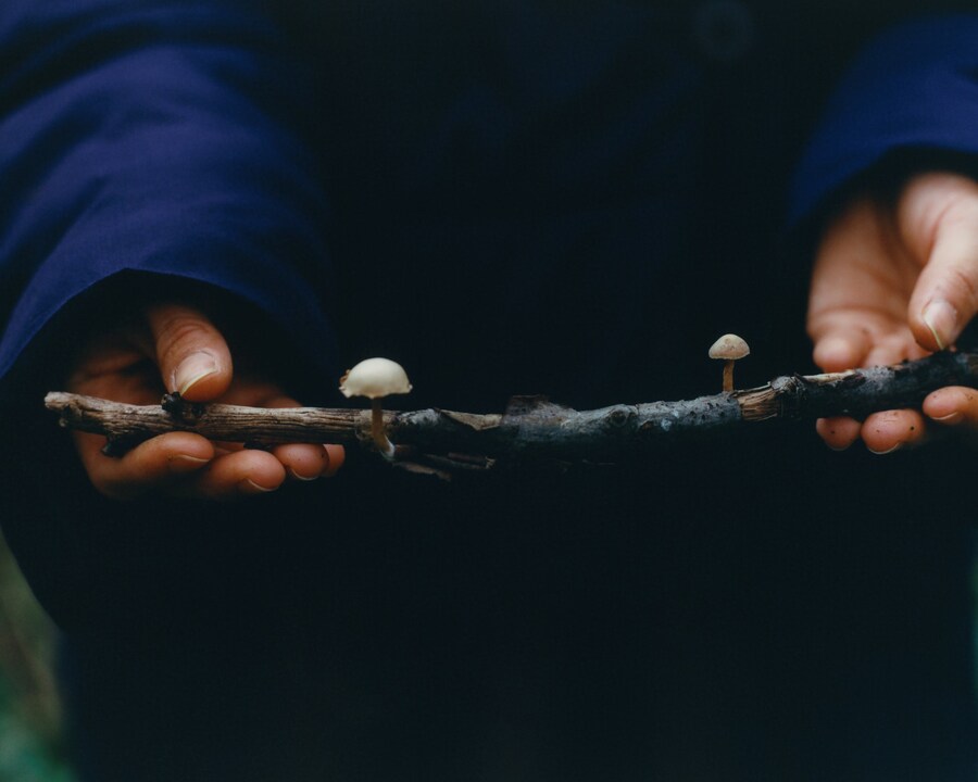 Little Things Mean a Lot by Sirui Ma