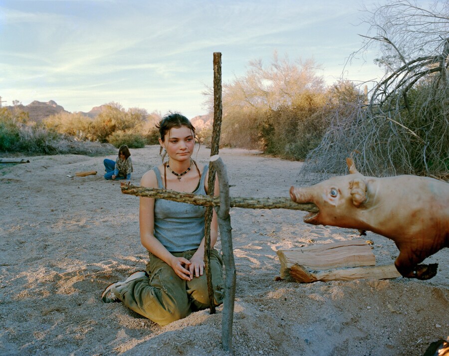 Widening the Lens at the Carnegie Museum of Art