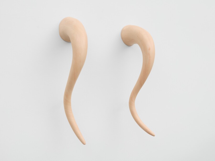 My voice resonating through ancestral planes, shak