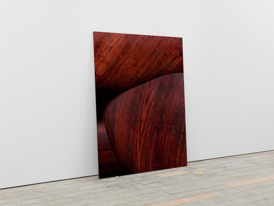 Twerk, 2024 (detail)(1)