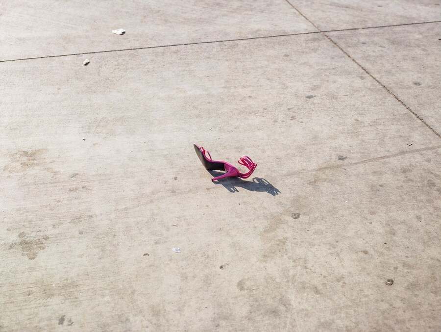 Californian Wildflowers by Pieter Hugo California Homeless 