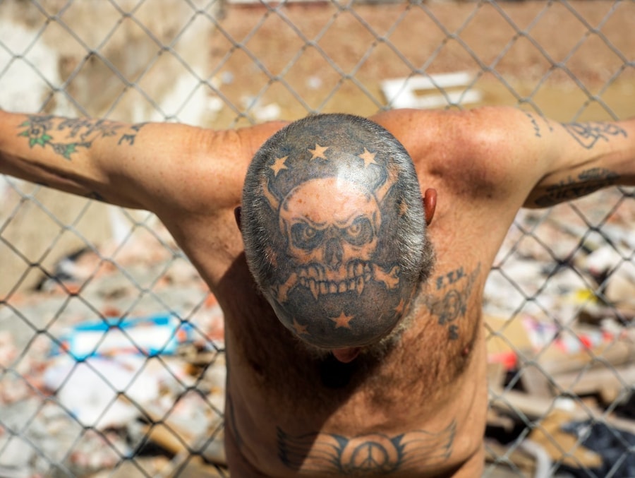 Californian Wildflowers by Pieter Hugo California Homeless 