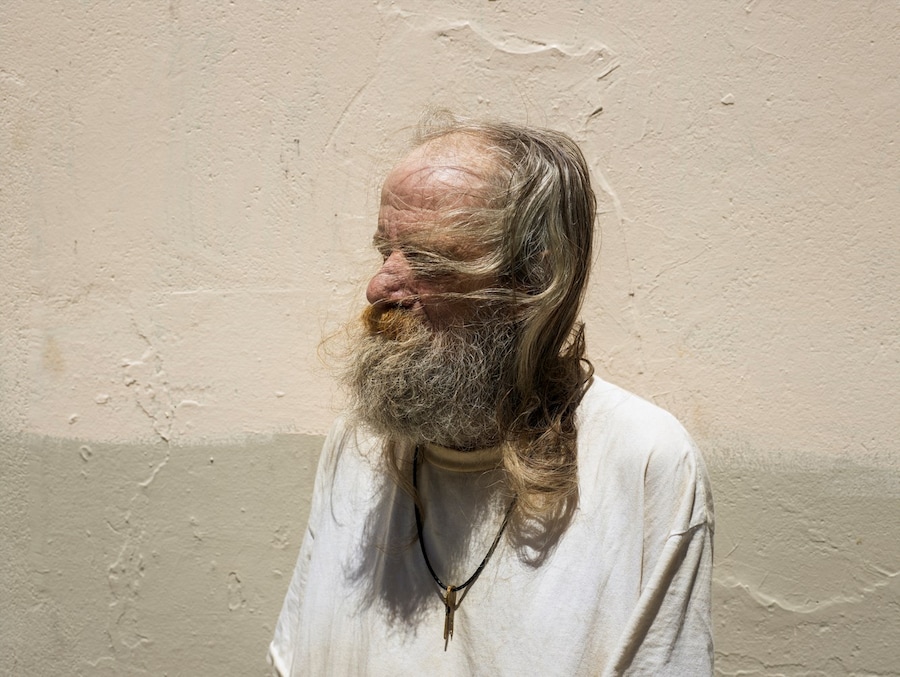 Californian Wildflowers by Pieter Hugo California Homeless 