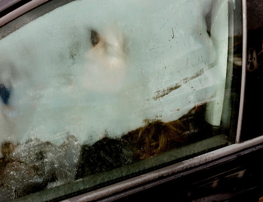 Wet by Polly Brown