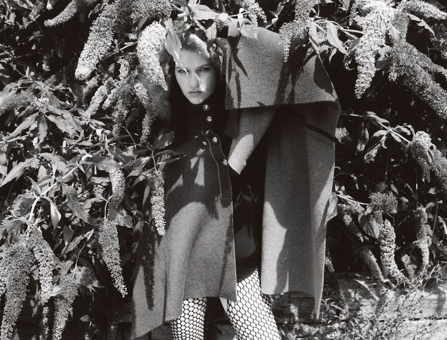 I’ve stopped my dreaming