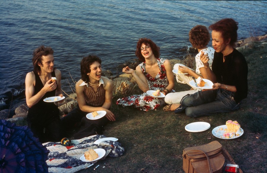 PicnicontheEsplanadeBoston1973