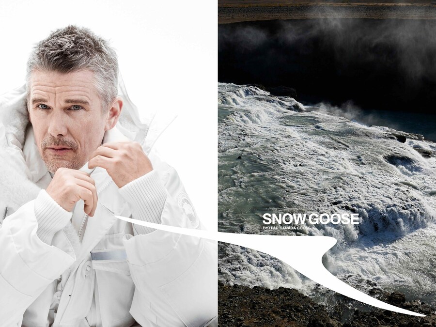 Snow Goose by Canada Goose