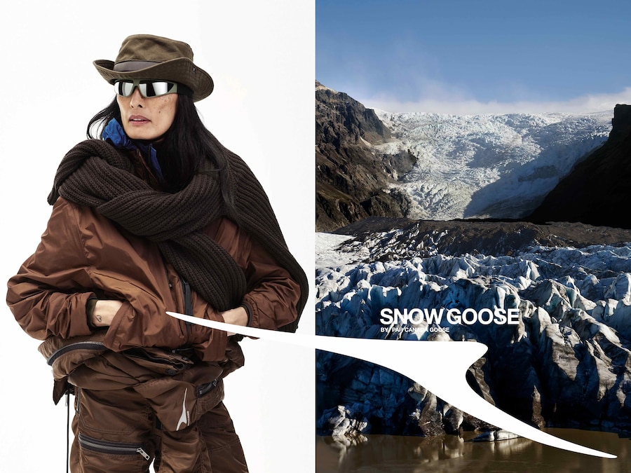 Snow Goose by Canada Goose